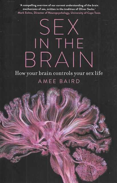 Sex In The Brain How Your Brain Controls Your Sex Life 8849