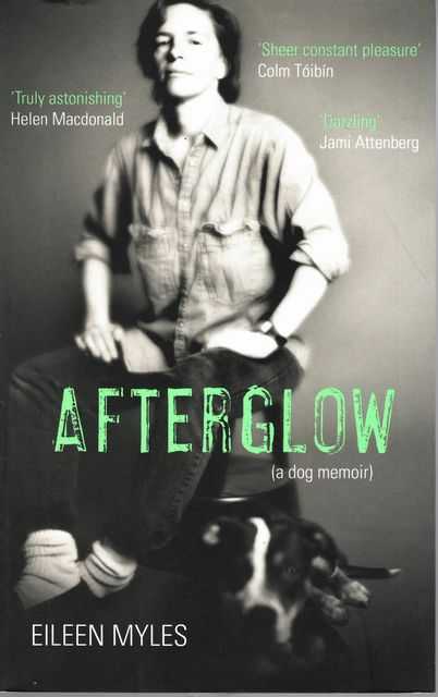 Afterglow [A Dog Memoir]