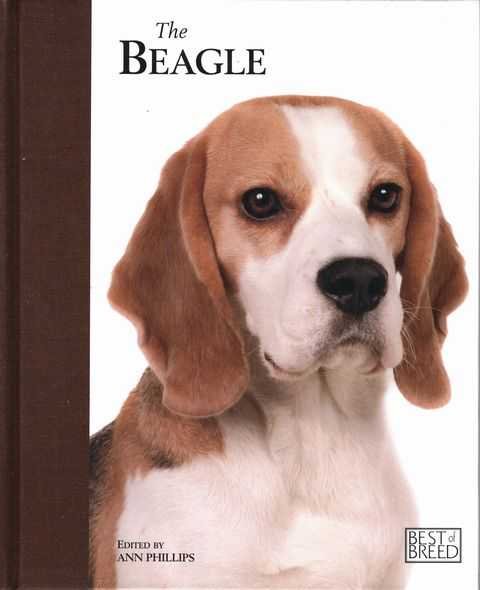 The Beagle
