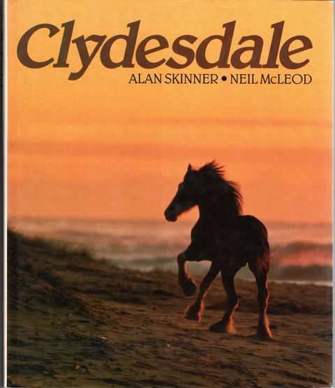 Clydesdale