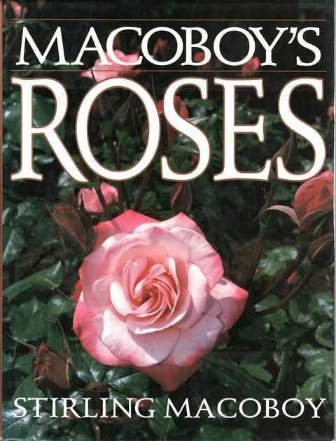 Macoboy's Roses