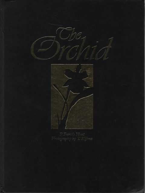 The Orchid