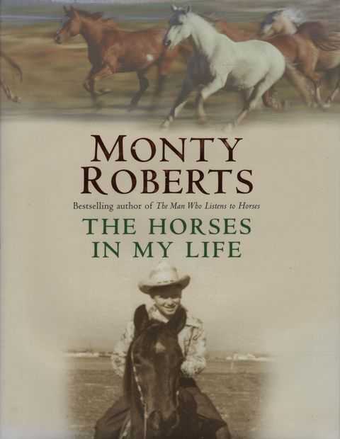 The Horses In My Life