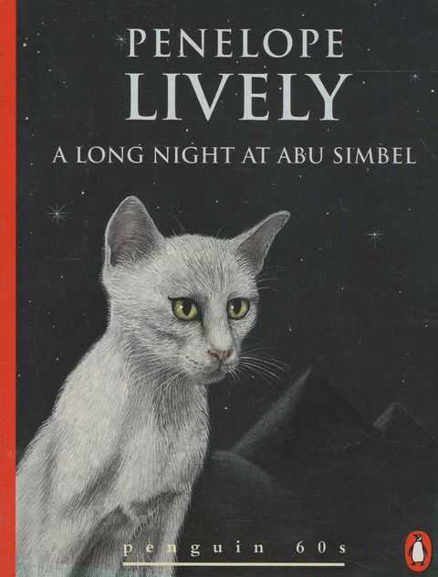 A Long Night at Abu Simbel