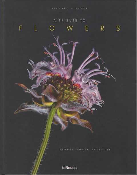 A Tribute to Flowers: Plants Under Pressure