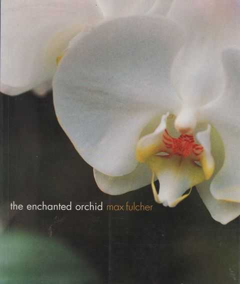 The Enchanted Orchid