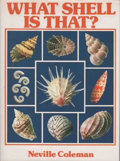 What Shell is That