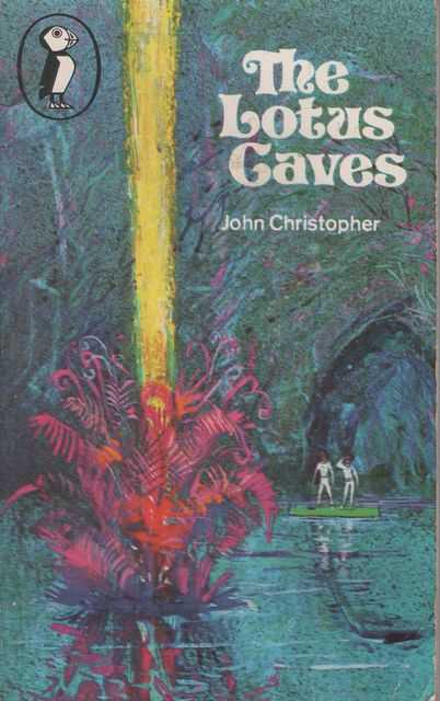 The Lotus Caves