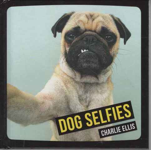 Dog Selfies