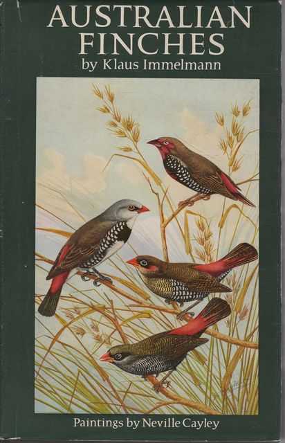 Australian Finches