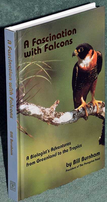 A Fascination with Falcons: A Biologist's Adventures from Greenland to the Tropics