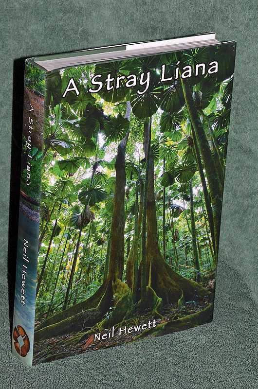 A Stray Liana