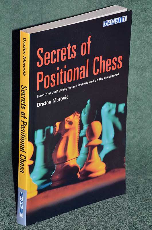 Secrets of Positional Chess: How to exploit strengths and weaknesses on the chessboard