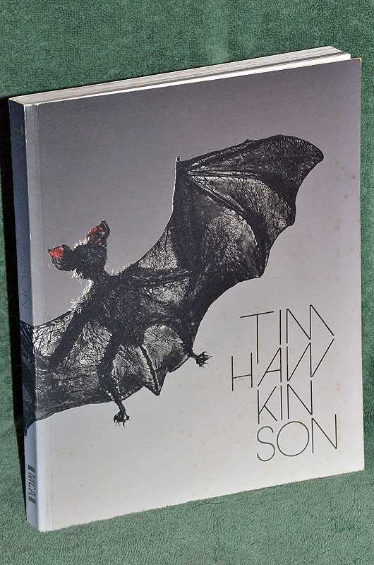 Tim Hawkinson: Mapping the Marvelous