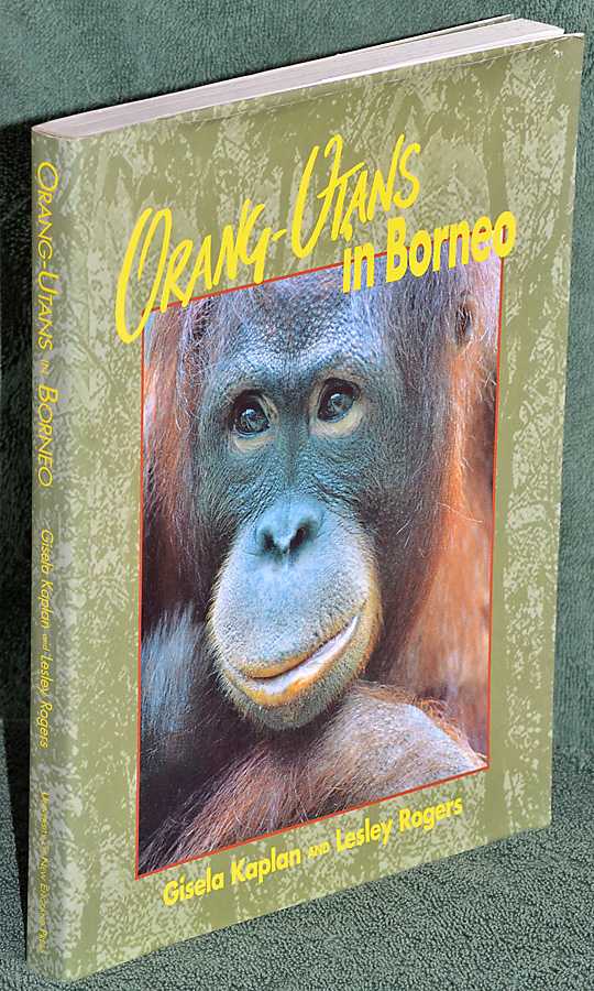 Orang-Utans in Borneo