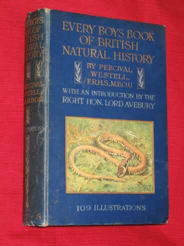 Westell, W.Percival - Every Boys Book of British Natural History