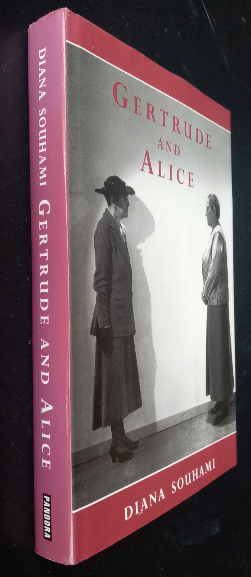 Diana Souhami - Gertrude & Alice