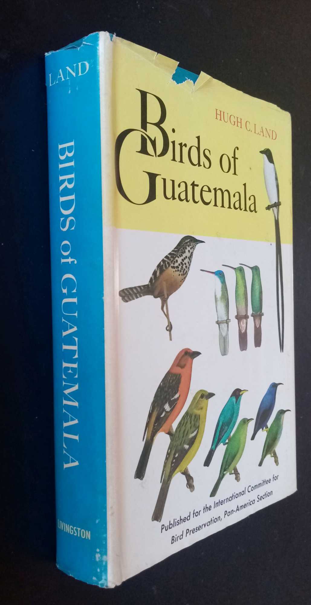 Hugh Land - Birds Of Guatemala