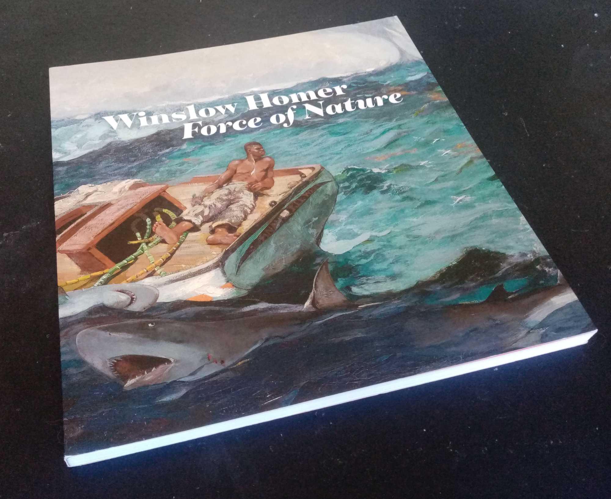 Christine Riding, et al. - Winslow Homer: Force of Nature