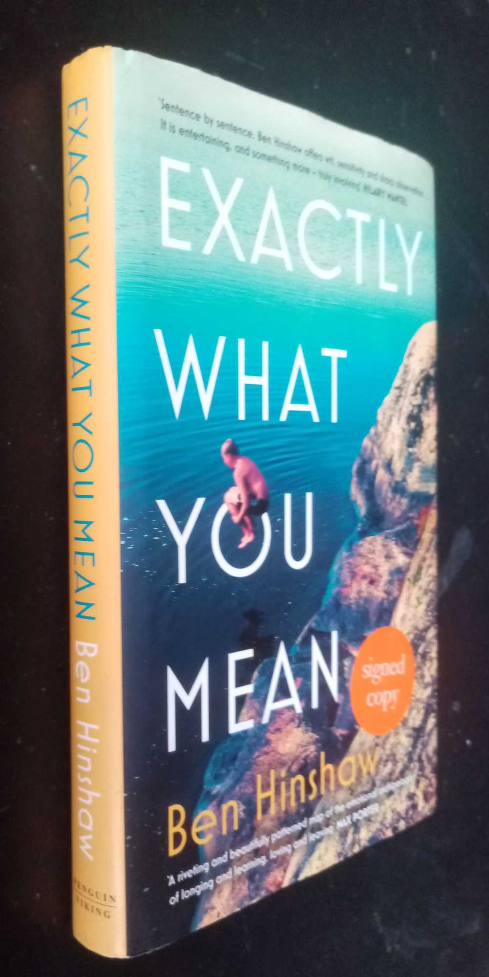 Ben Hinshaw - Exactly What You Mean    SIGNED