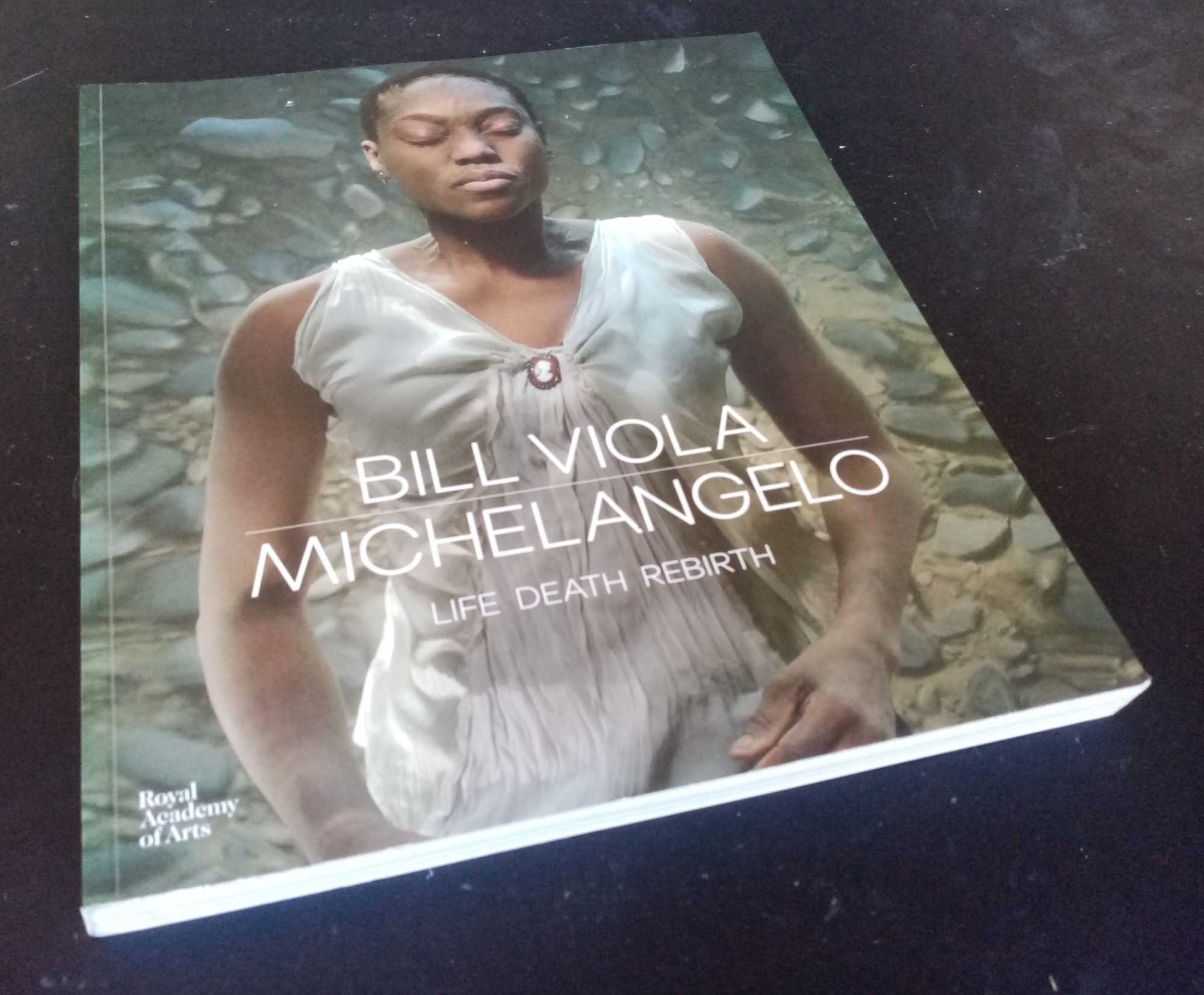 Martin Clayton, ed. - Bill Viola / Michelangelo: Life, Death, Rebirth