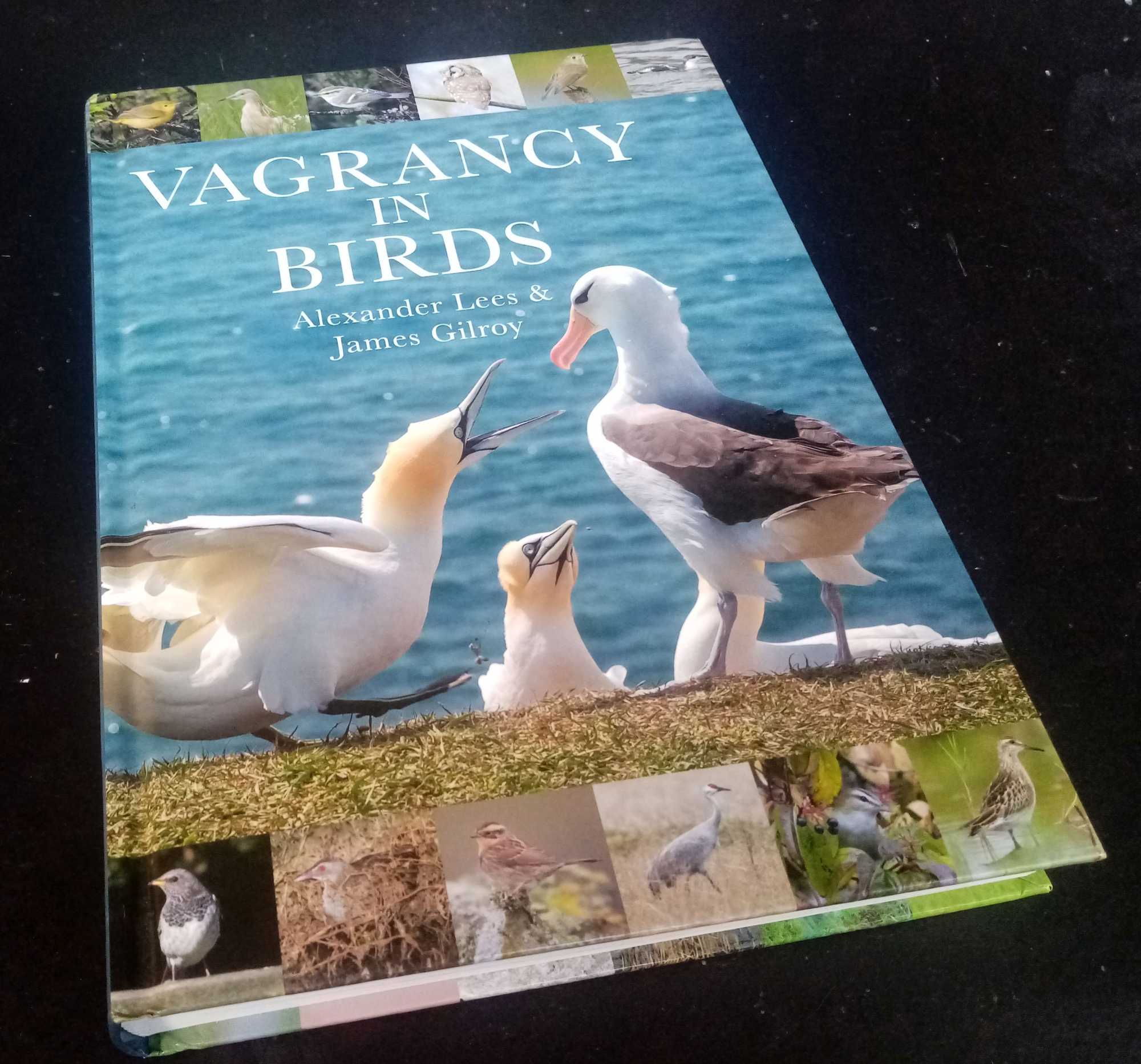 Alexander Lees - Vagrancy in Birds