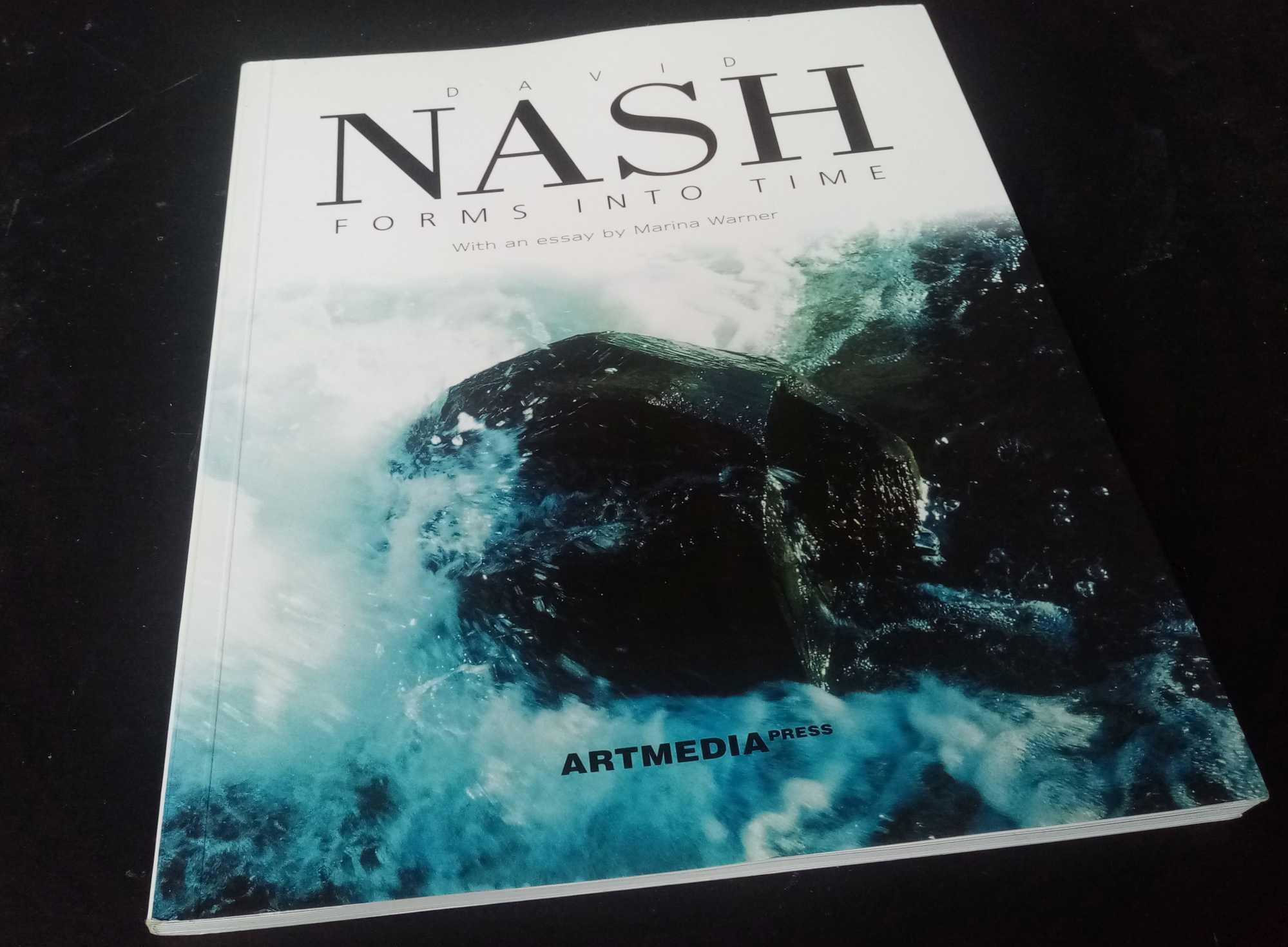 Marina Warner, essay - Forms into Time: The Works of David Nash