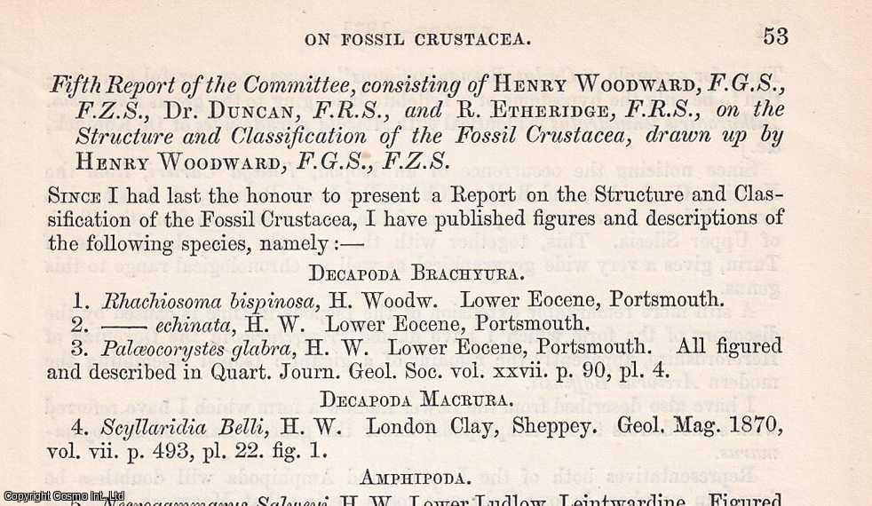 Henry Woodward, F.G.S., F.Z.S., and others - 1871. The Structure and Classification of The Fossil Crustacea. An uncommon original article from The British Association for The Advancement of Science report, 1871.