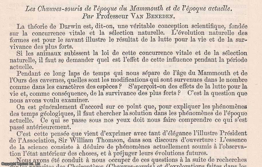 Professeur Van Beneden - Les Chauvres-souris de l'epoque du Mammouth at de l'epoque actuelle. An uncommon original article from The British Association for The Advancement of Science report, 1871.