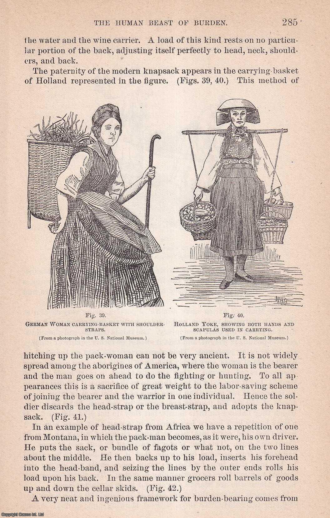MASON, OTIS T. - The Human Beast of Burden. An original article from the Report of the Smithsonian Institution, 1889.