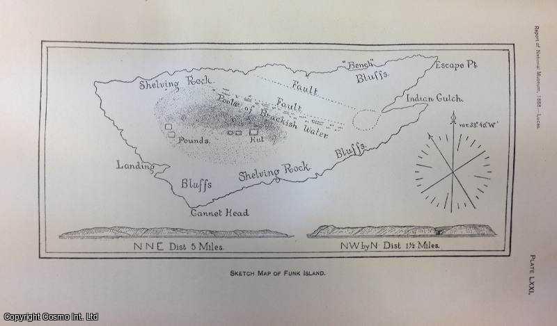 LUCAS, FREDERIC A. - The Expedition to Funk Island, with Observations upon the History and Anatomy of the Great Auk. An original article from the Report of the Smithsonian Institution, 1890.