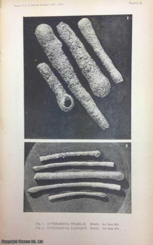 FLINT, JAMES M. - Recent Foraminifera. An original article from the Report of the Smithsonian Institution, 1899.