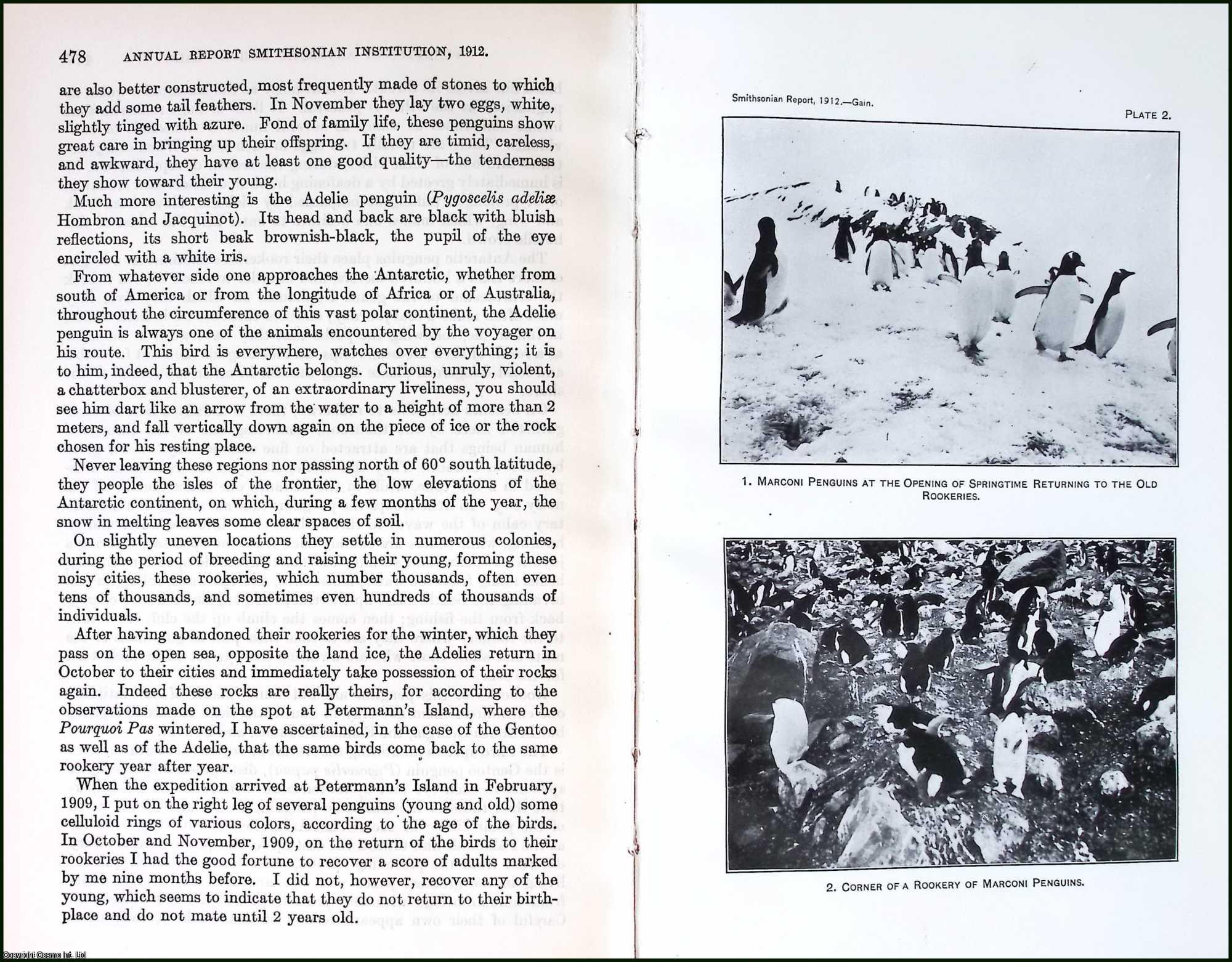 GAIN, L. - Penguins of The Antarctic Regions. An original article from the Report of the Smithsonian Institution, 1912.