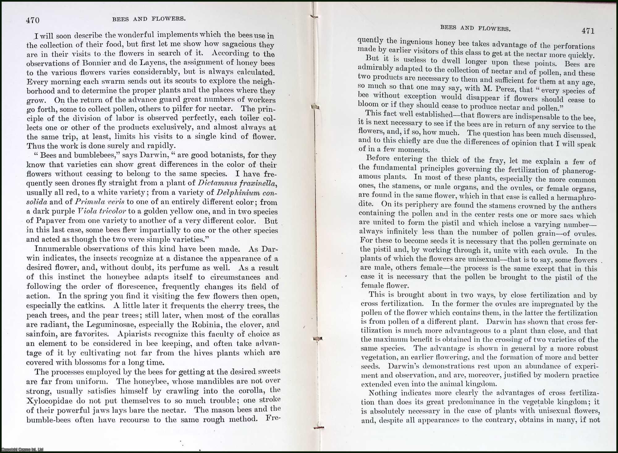 BOUVIER, E. L. - Bees and Flowers. An original article from the Report of the Smithsonian Institution, 1904.