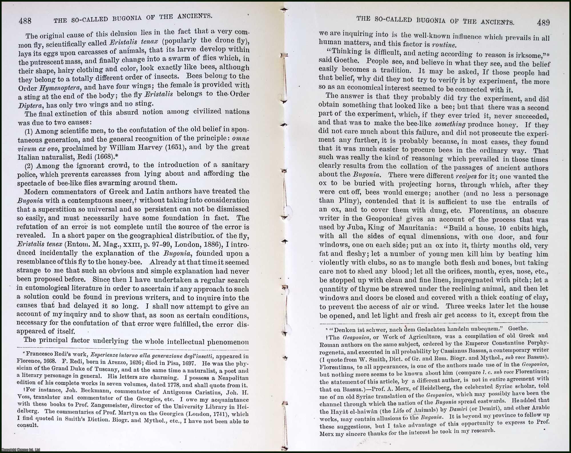 SACKEN, C. R. OSTEN - So-Called Bugonia of The Ancients, and its Relation to a Bee-Like Fly, Eristolistenax. An original article from the Report of the Smithsonian Institution, 1893.