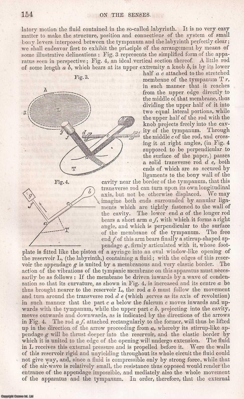 ALEXANDER, C.A. - On The Senses. (Taste, Hearing and Sight). An original article from the Report of the Smithsonian Institution, 1866.