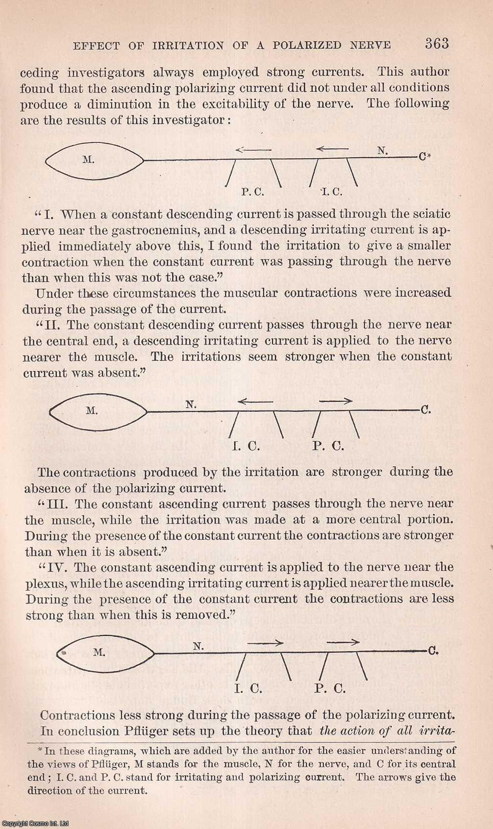 LAUTENBACH, B.F. - The Effect of Irritation of a Polarized Nerve Pfluger's Electrotonus. An original article from the Report of the Smithsonian Institution, 1878.
