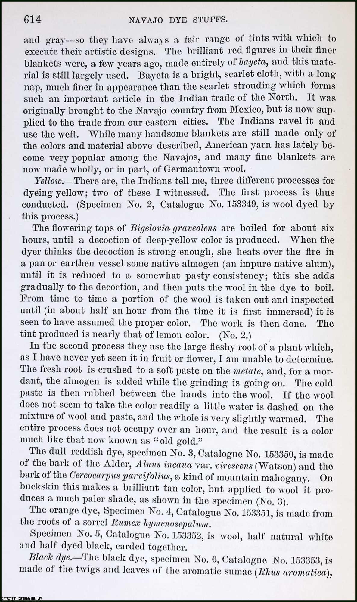 MATTHEWS, WASHINGTON - Navajo Dye Stuffs. An original article from the Report of the Smithsonian Institution, 1891.