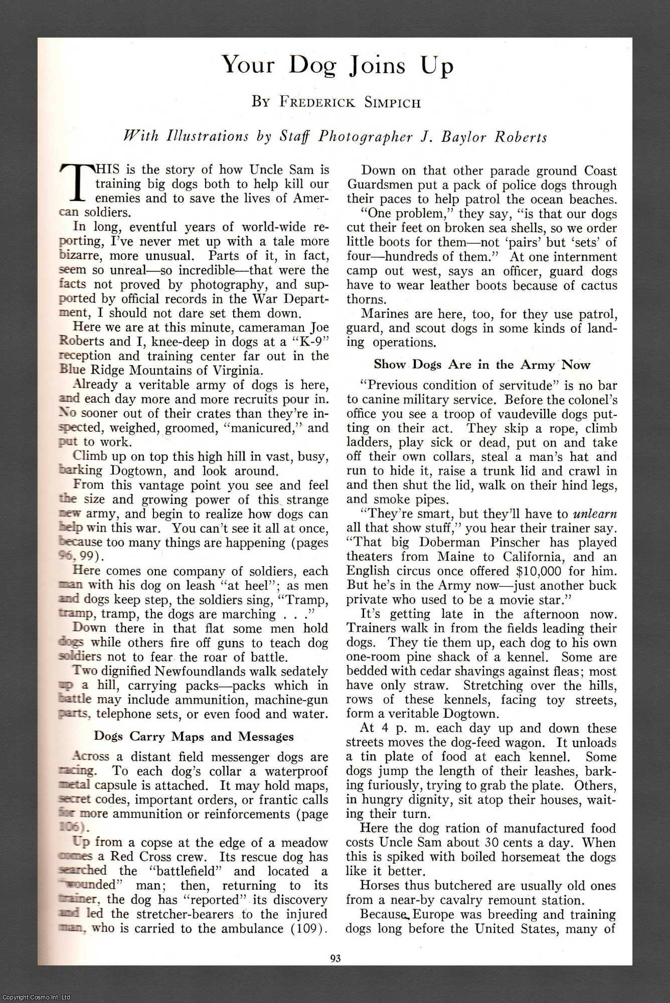 SIMPICH, FREDERICK - Your Dog Joins Up. This is the story of how Uncle Sam is training big dogs to help kill our enemies and save American soldiers lives. An original article from the National Geographic Magazine, 1943.