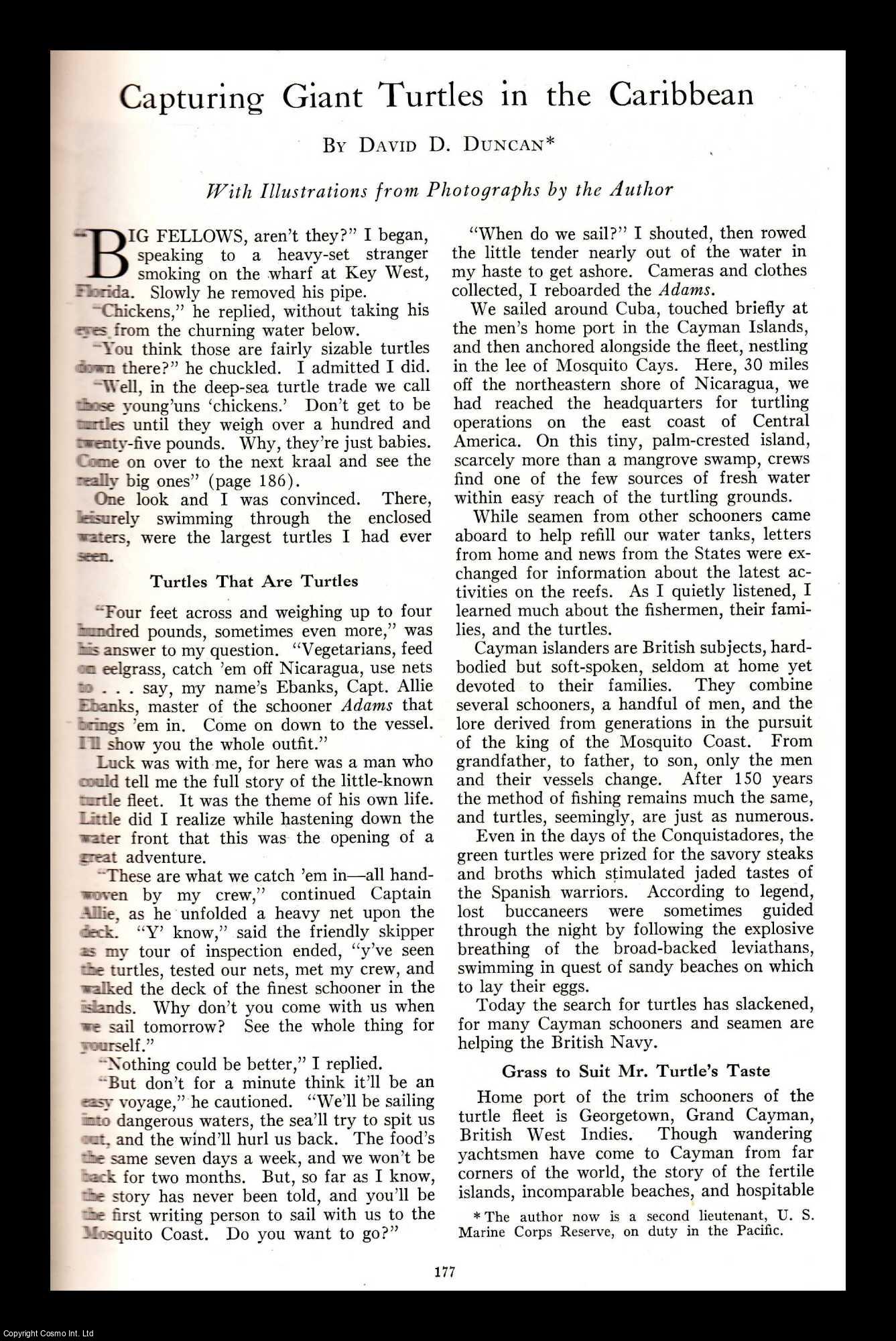 DUNCAN, DAVID D. - Capturing Giant Turtles in The Caribbean. An original article from the National Geographic Magazine, 1943.