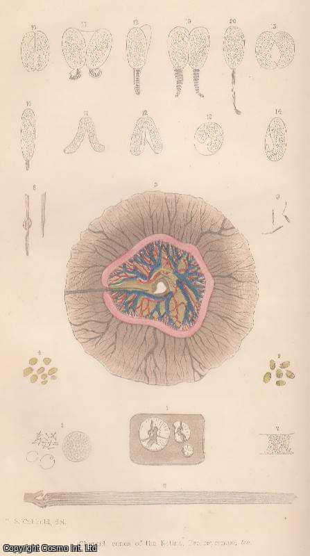 COBBOLD, T. SPENCER - The Eye of The Cod-Fish. An original article from the Intellectual Observer 1862.