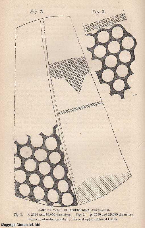 MADDOX, DR. - Photo-Micrographs by Brevet-Captain Edward Curtis. A rare original article from the Intellectual Observer, 1866.