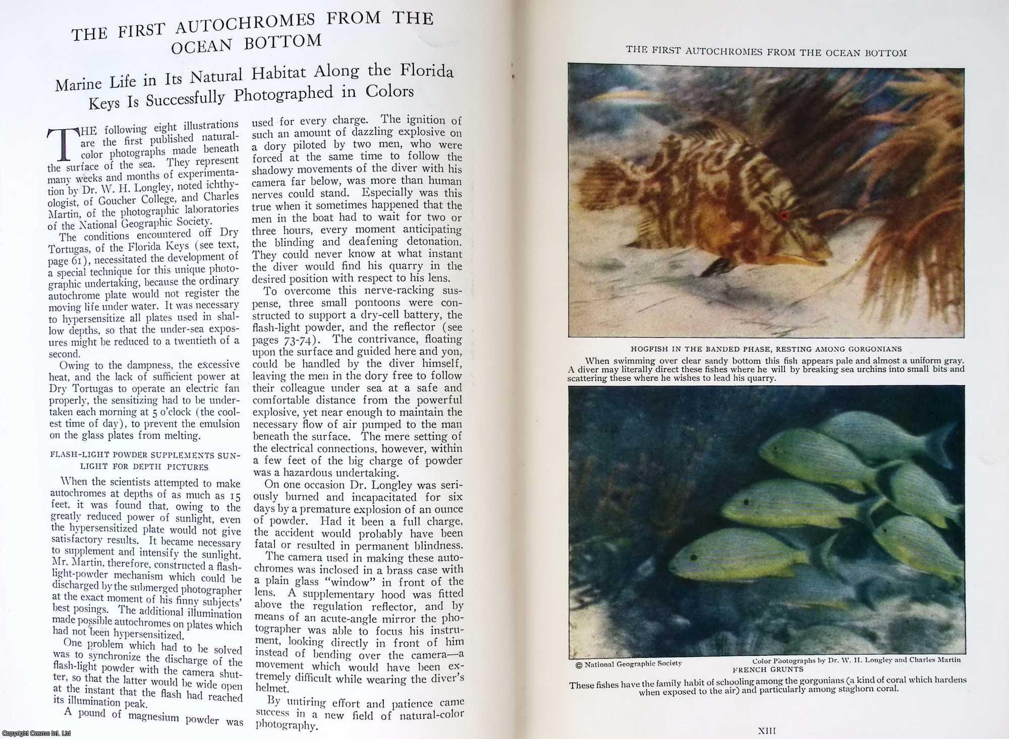 National Geographic - The First Autochromes From the Ocean Bottom : Marine Life in its Natural Habitat Along the Florida Keys is Successfully Photographed in Colors. An original article from the National Geographic Magazine, 1927.