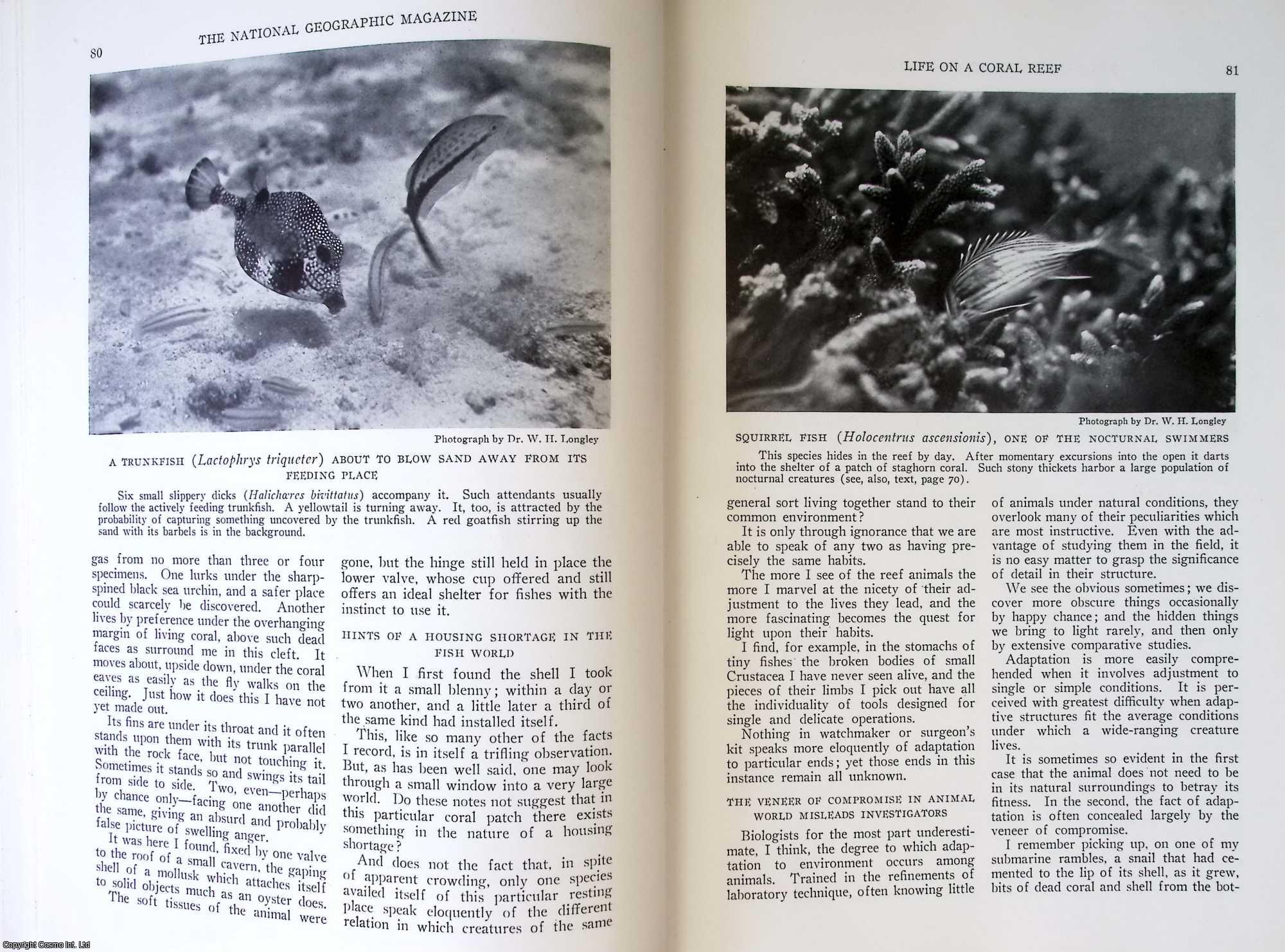 LONGLEY, W.H. - Life on a Coral Reef: The Fertility and Mystery of The Sea Studied Beneath The Waters Surrounding Dry Tortugas. An original article from the National Geographic Magazine, 1927.