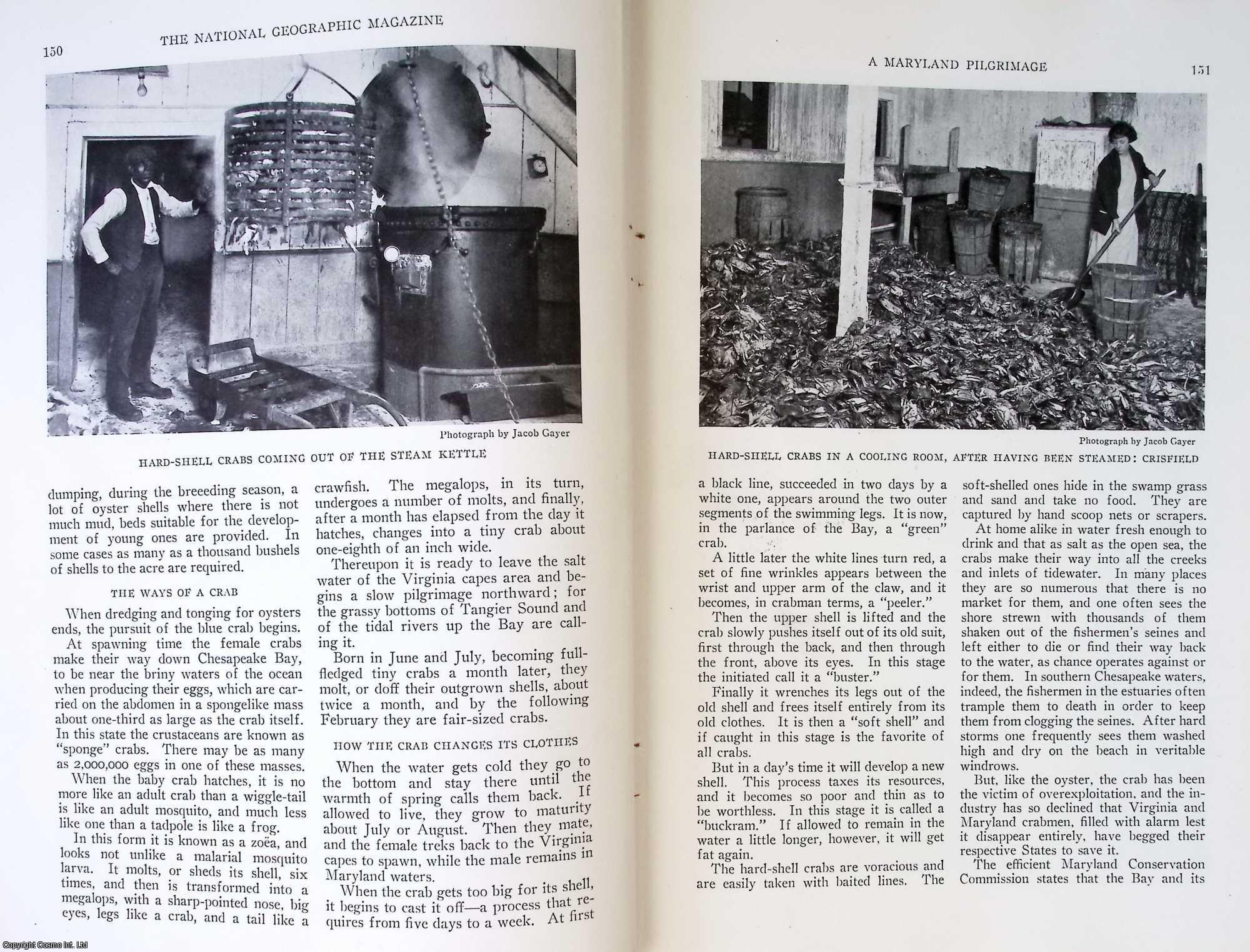 GROSVENOR, GILBERT - A Maryland Pilgrimage: Visits to Hallowed Shrines Recall The Major Role Played by This Prosperous State in The Development of Popular Government in America. An original article from the National Geographic Magazine, 1927.