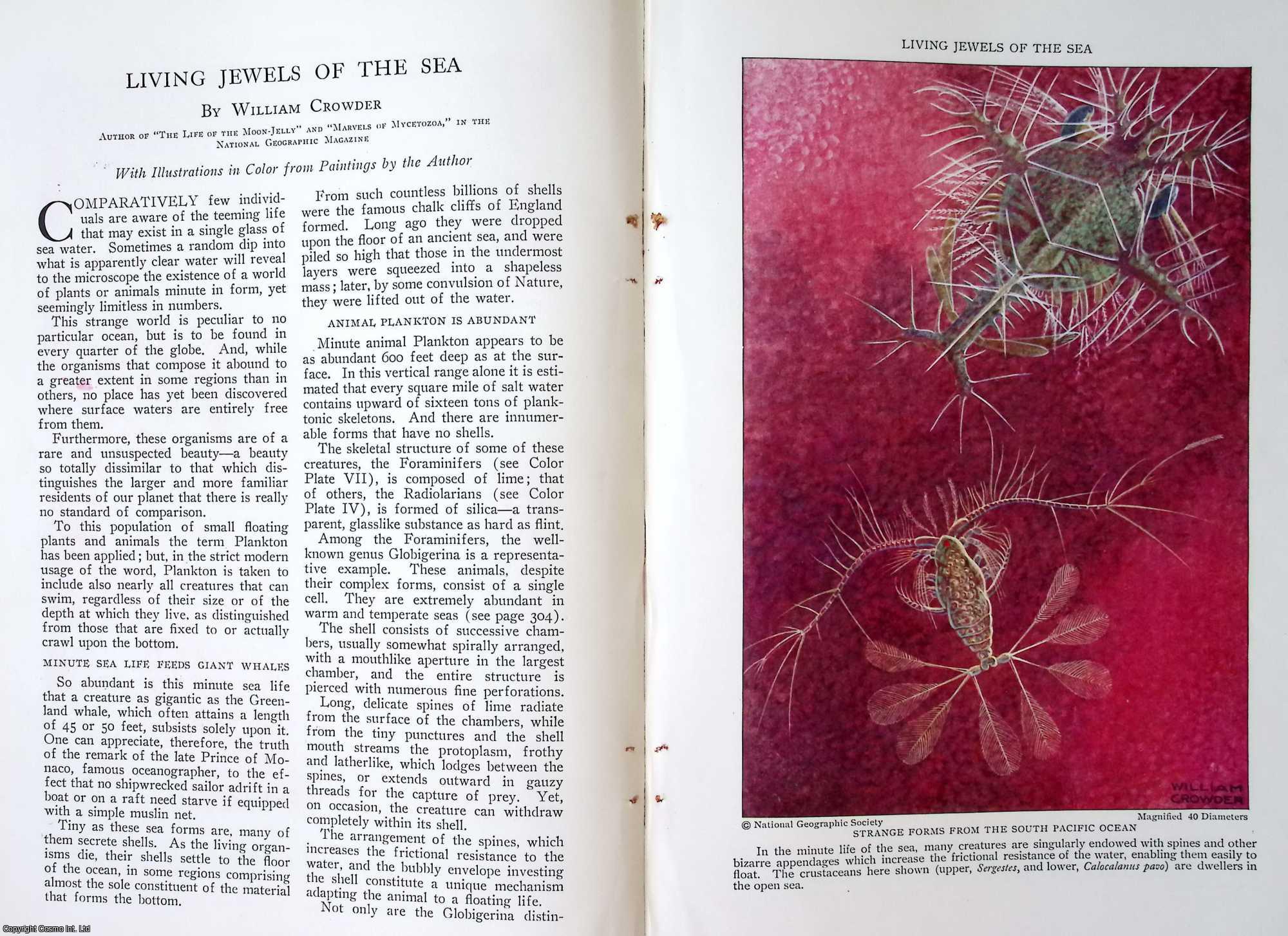 CROWDER, WILLIAM - Living Jewels of The Sea. An original article from the National Geographic Magazine, 1927.