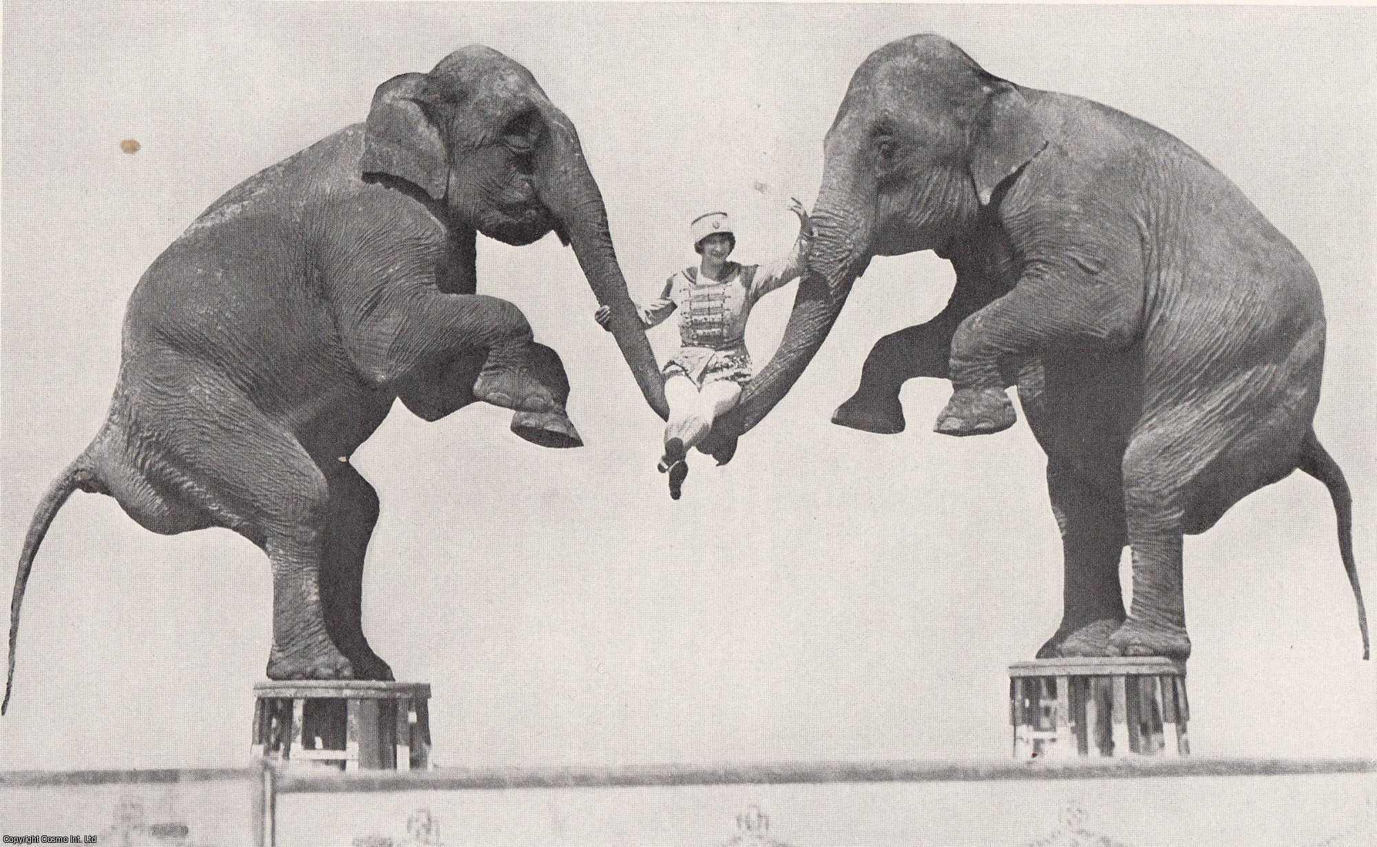 KELLEY, RICHARD H. STEWART & ORREN R. LOUDEN, FRANCIS BEVERLY - The Land of Sawdust and Spangles [circuses] - A World in Miniature. An original article from the National Geographic Magazine, 1931.
