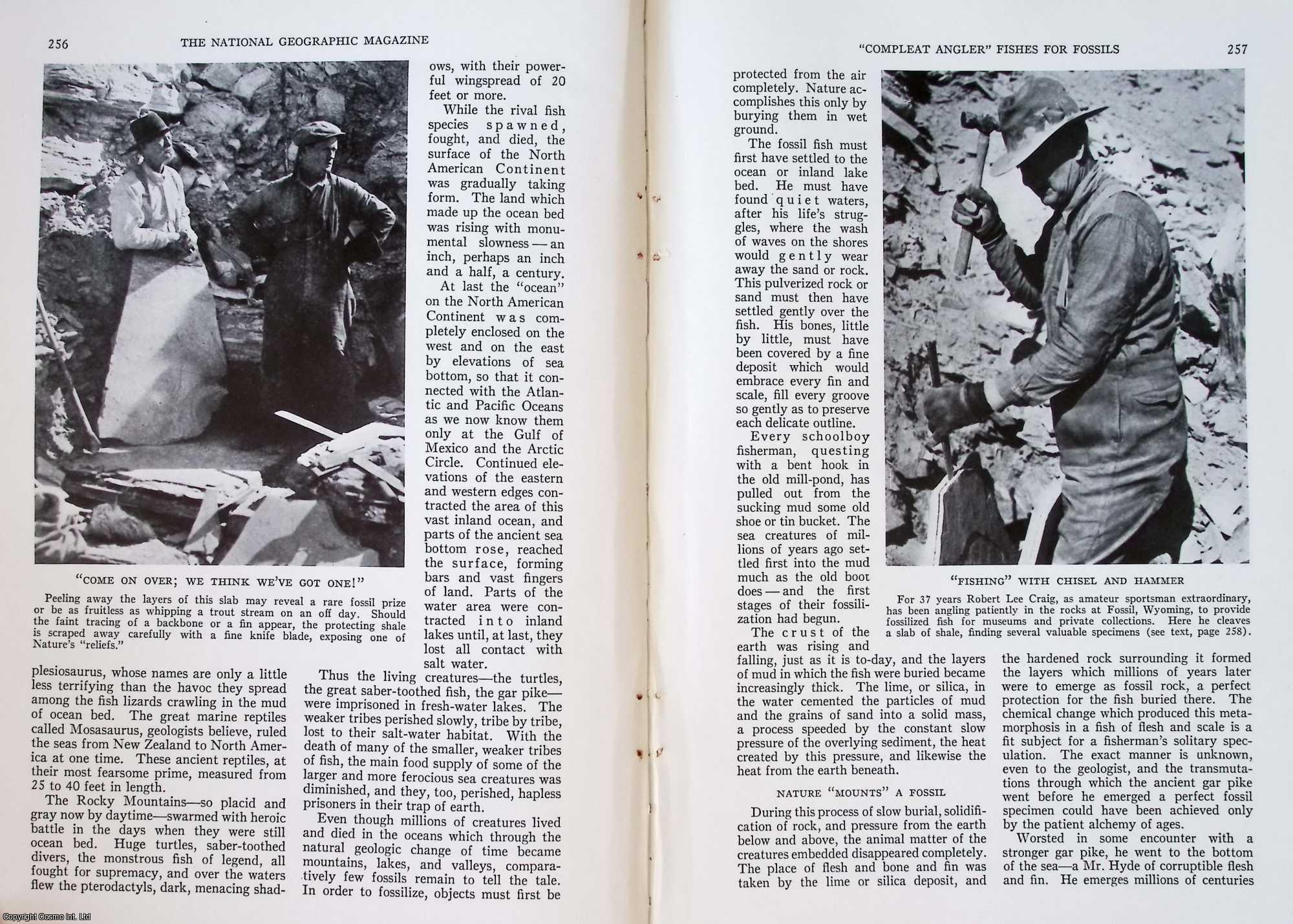 POWELL, IMOGENE - Compleat Angler Fishes for Fossils (Fossil, Wyoming). An original article from the National Geographic Magazine, 1934.