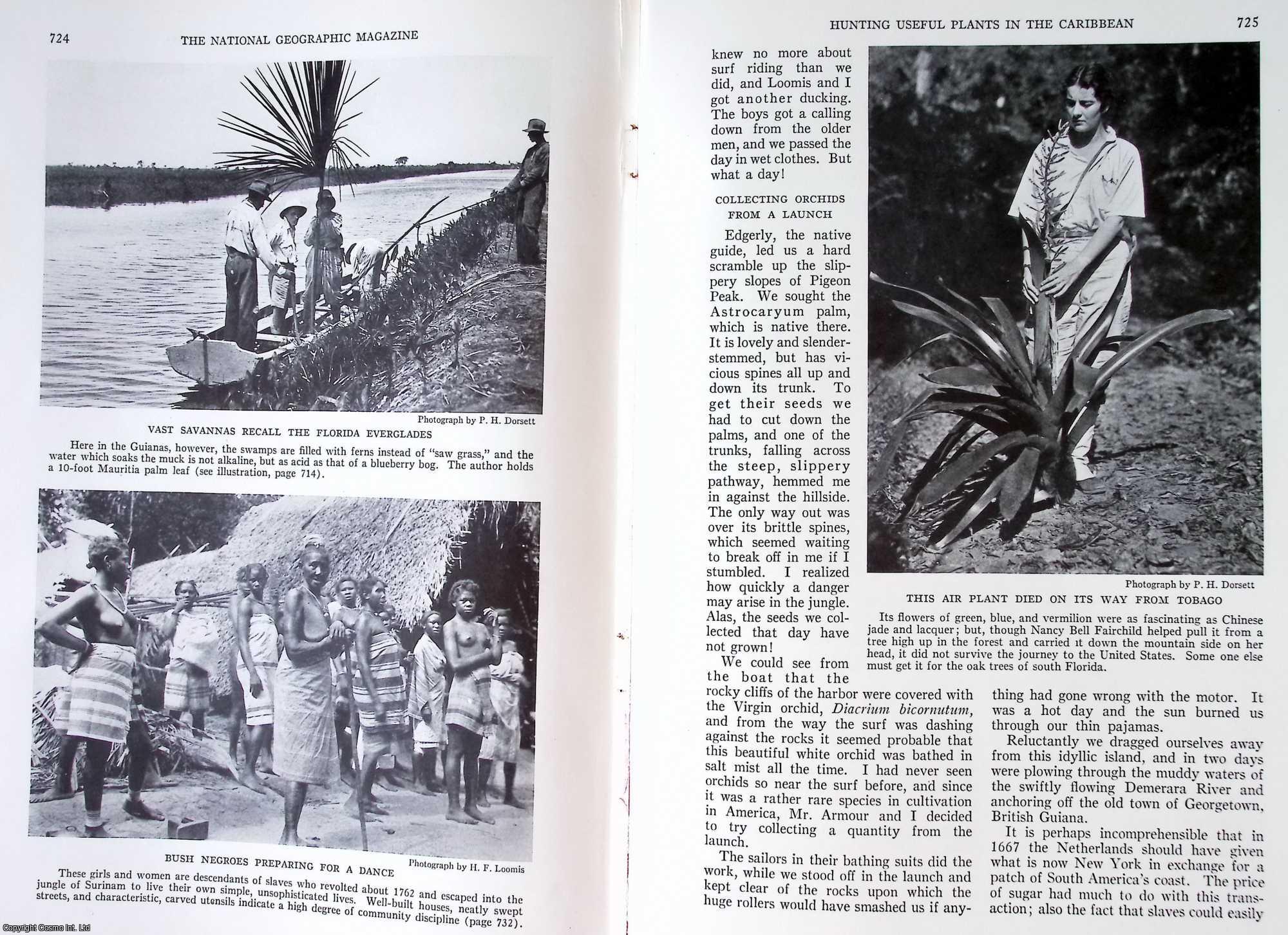 David Fairchild - Hunting Useful Plants in the Caribbean. An original article from the National Geographic Magazine, 1934.