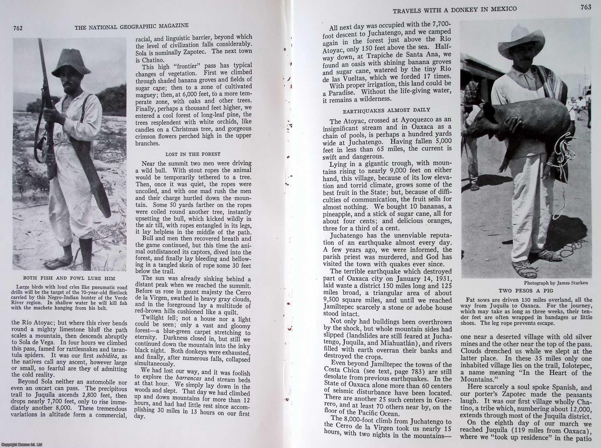 BEVAN, BERNARD - Travels with a Donkey in Mexico: Three Adventures Trudge from Oaxaca to Acapulco, 400 Miles, Through Back Country, Their Equipment Carried by Burros. An original article from the National Geographic Magazine, 1934.